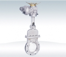 Electric - operated blade - type gate valve
